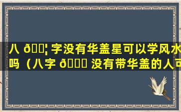 八 🐦 字没有华盖星可以学风水吗（八字 🐕 没有带华盖的人可以学风水吗）